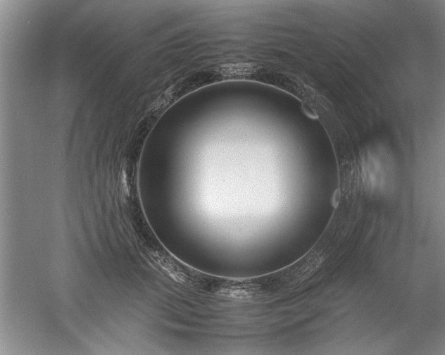 X0000052990655200507151856