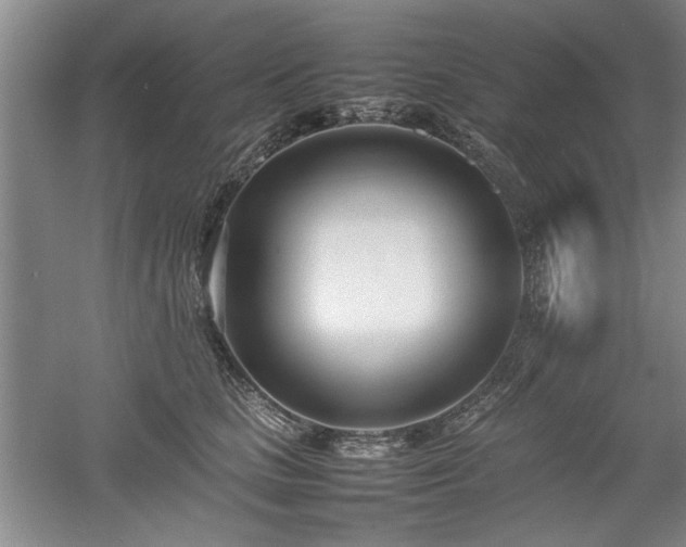 X0000052990661200507151856