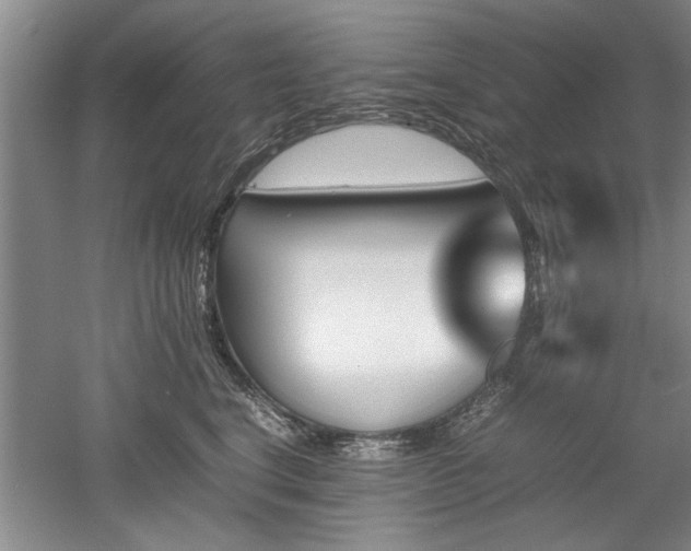 X0000052990664200507151856