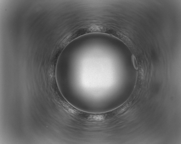 X0000052990665200507151856