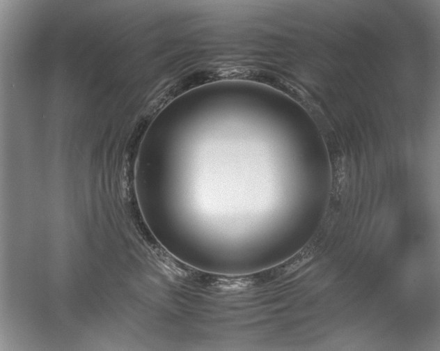 X0000052990667200507151856