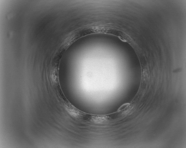 X0000052990671200507151856