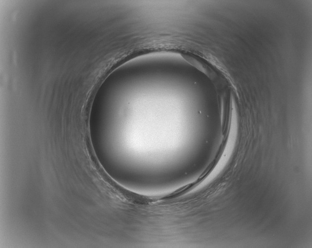 X0000052990673200507151856