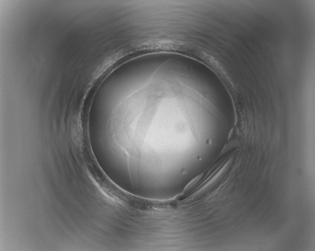 X0000052990674200507151856