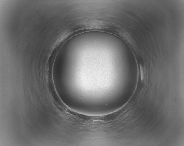 X0000052990675200507151856