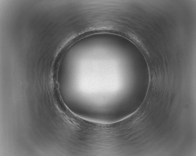 X0000052990676200507151856