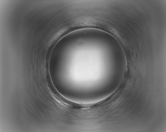 X0000052990677200507151856