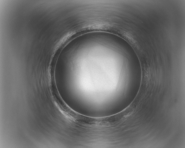 X0000052990678200507151856