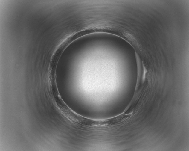 X0000052990680200507151855