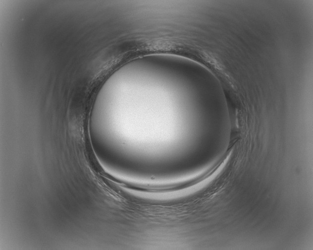 X0000052990681200507151855