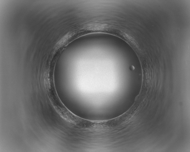 X0000052990682200507151855