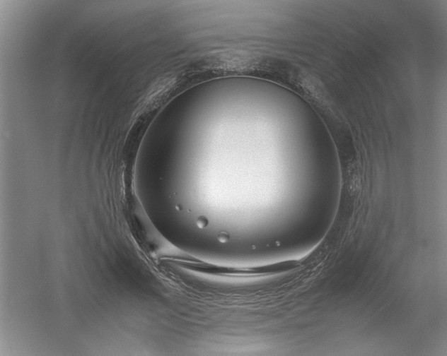 X0000052990685200507151855