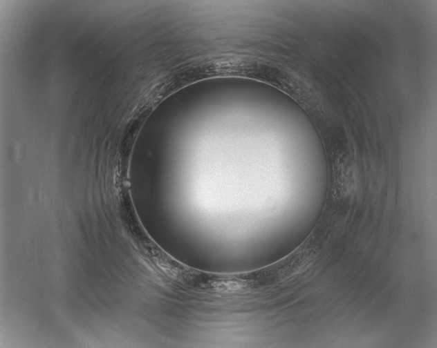 X0000052990698200507151855