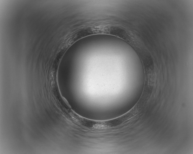 X0000052990699200507151855