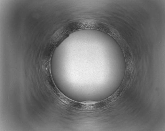 X0000052990701200507151855