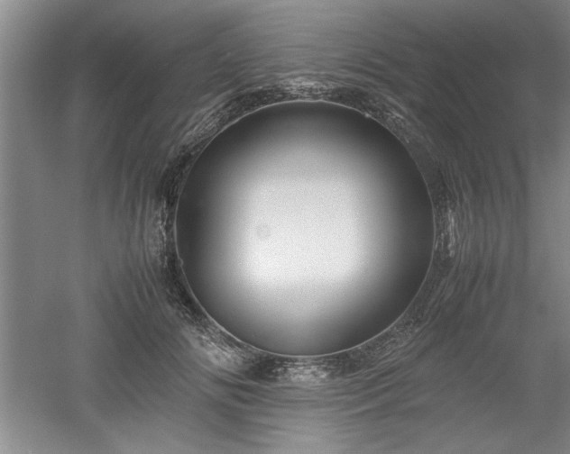 X0000052990702200507151855