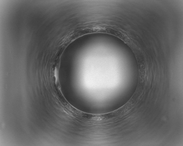 X0000052990704200507151855
