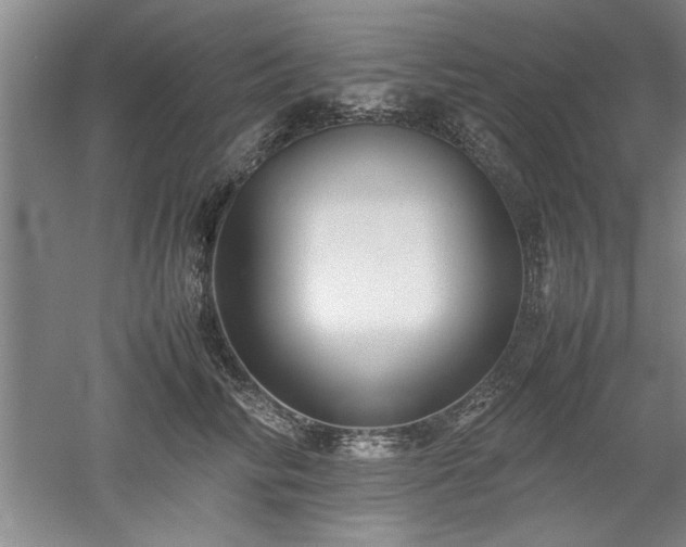 X0000052990710200507151855