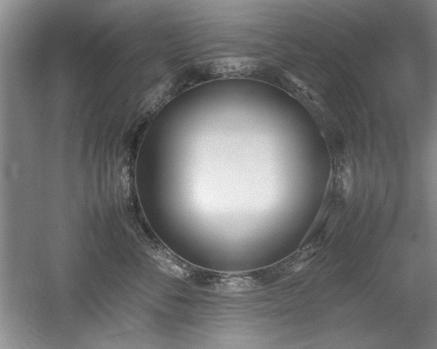 X0000052990716200507151855
