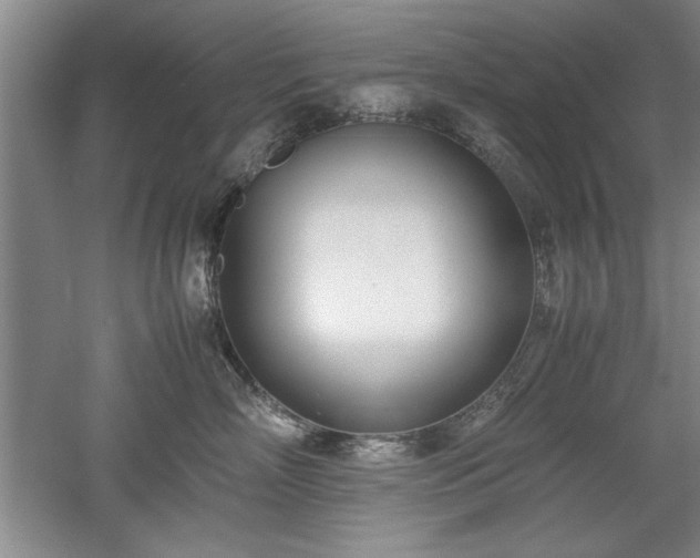 X0000052990718200507151855