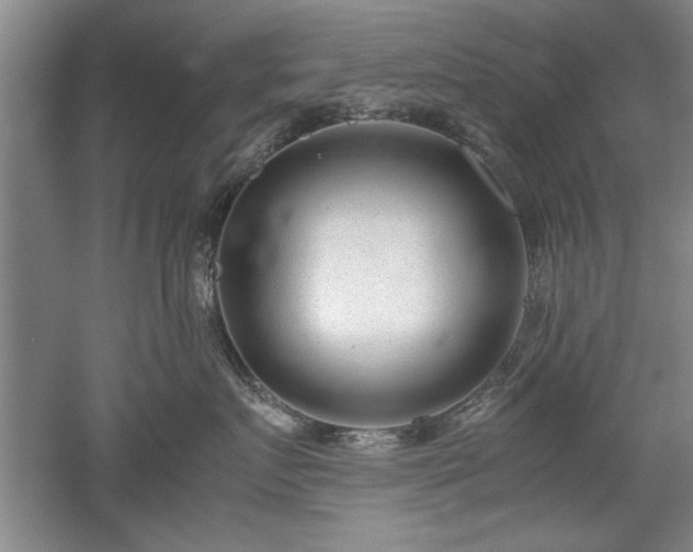 X0000052990719200507151855