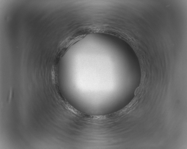 X0000052990720200507151855