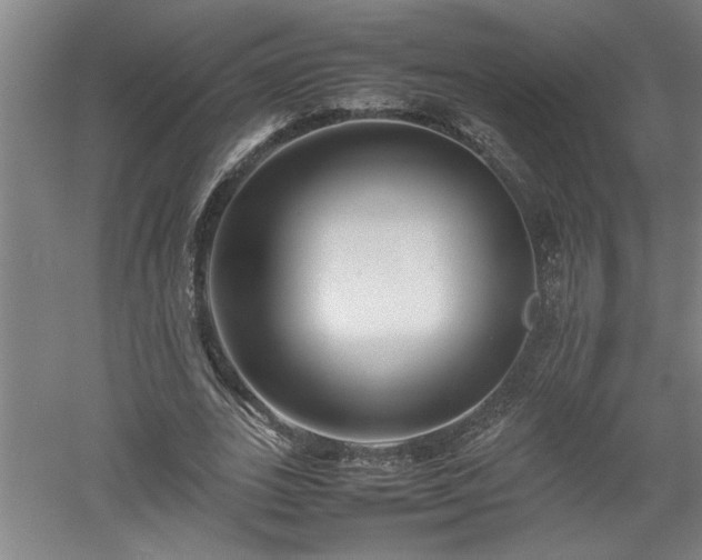 X0000052990727200507151854