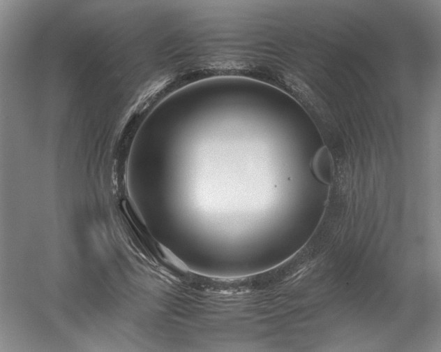 X0000052990731200507151854
