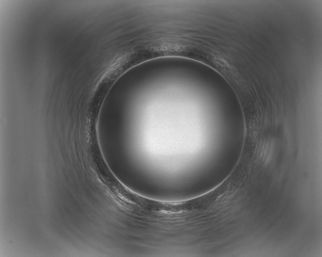 X0000052990735200507151854