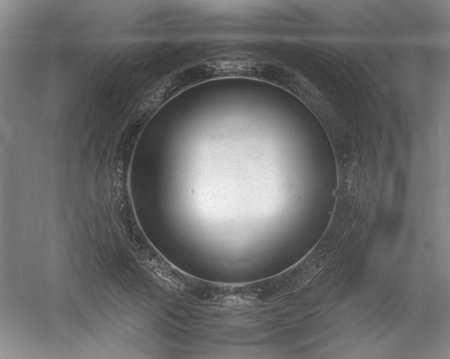 X0000052990737200507151854