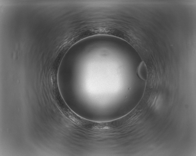 X0000052990747200507151854