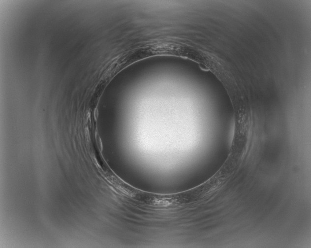X0000052990753200507151855