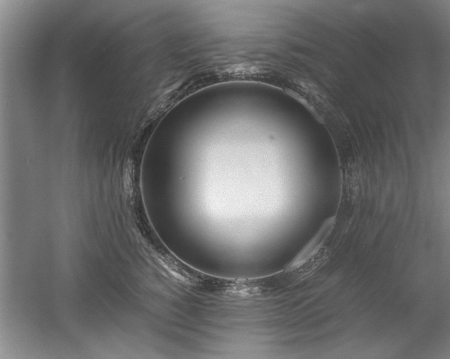 X0000052990760200507151855