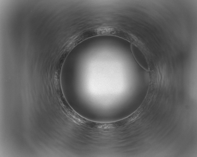 X0000052990761200507151855
