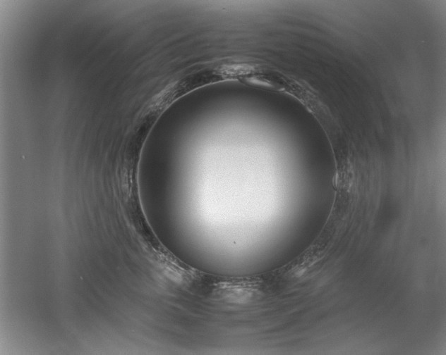 X0000052990763200507151855
