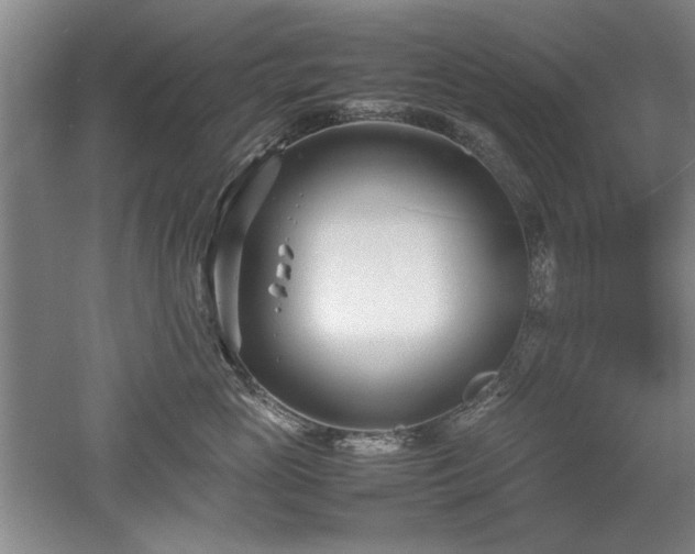 X0000052990765200507151855