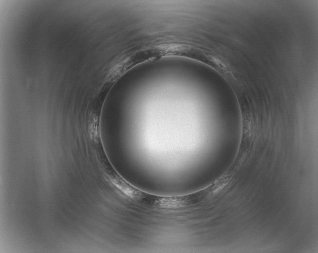 X0000052990766200507151855