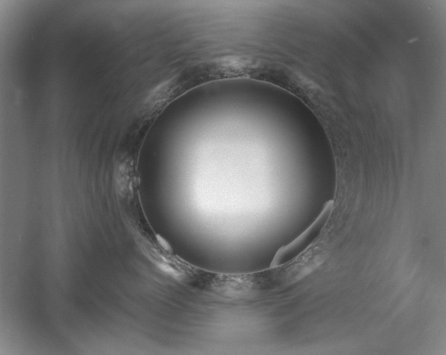 X0000052990768200507151855