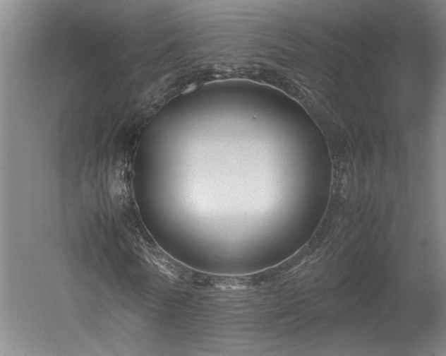 X0000052990770200507151854