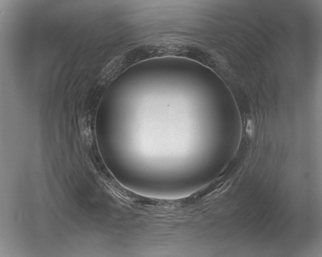 X0000052990771200507151854