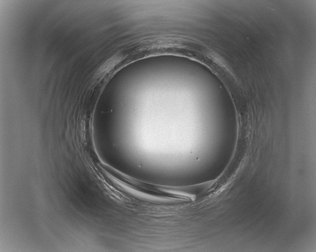 X0000052990777200507151854
