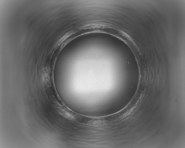 X0000052990778200507151854