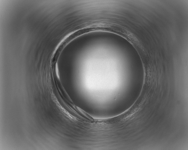 X0000052990784200507151854