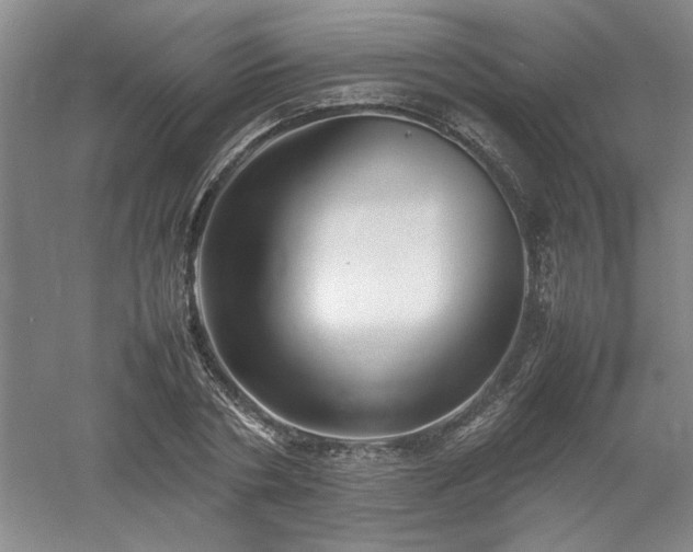 X0000052990786200507151854