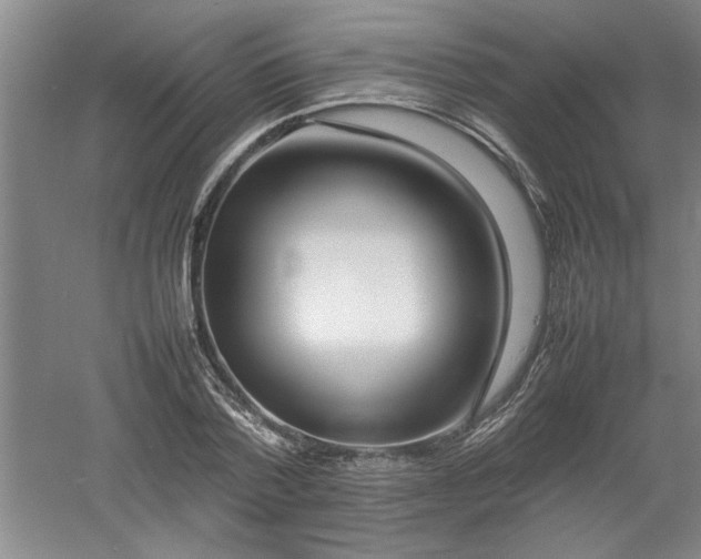 X0000052990788200507151854