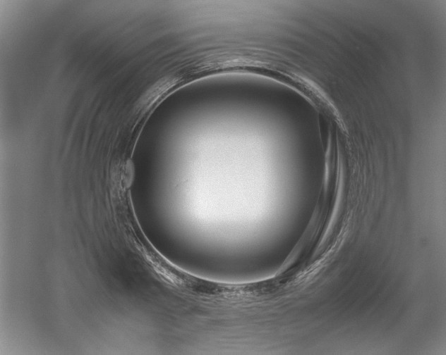 X0000052990793200507151854
