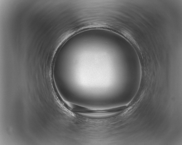 X0000052990797200507151854