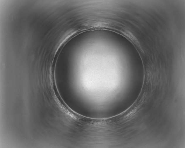 X0000052990798200507151853