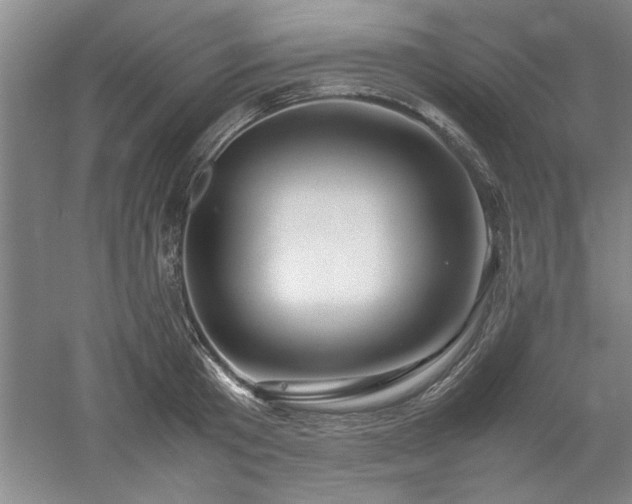 X0000052990801200507151853