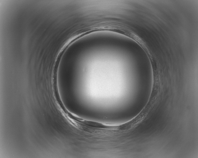 X0000052990803200507151853